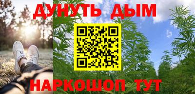 сатива Кунгур