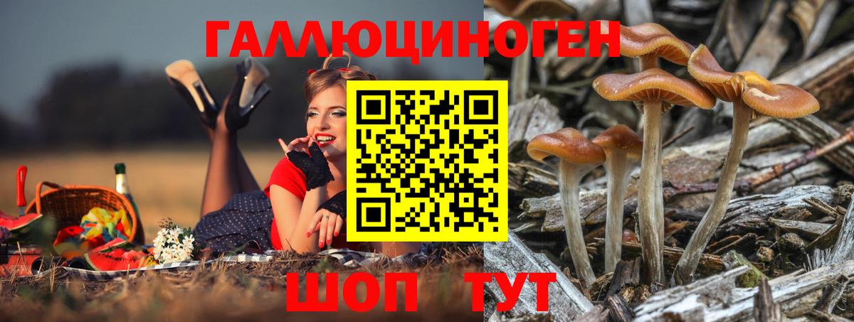 Балахна  Псилоцибиновые грибы MAGIC MUSHROOMS  Вход с VPN 